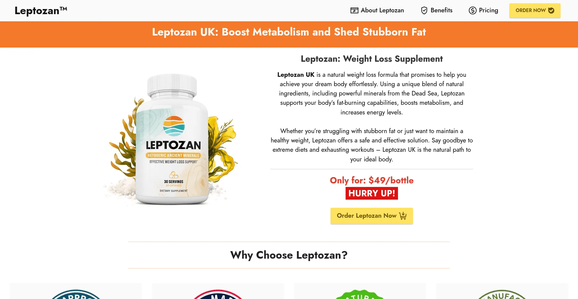Website screenshot of Leptozan-uk.uk