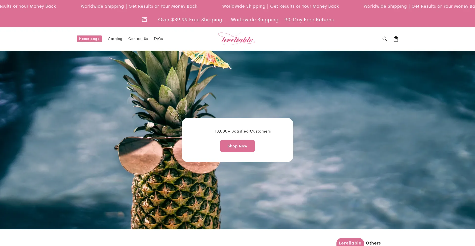 Website screenshot of Lereliable.com