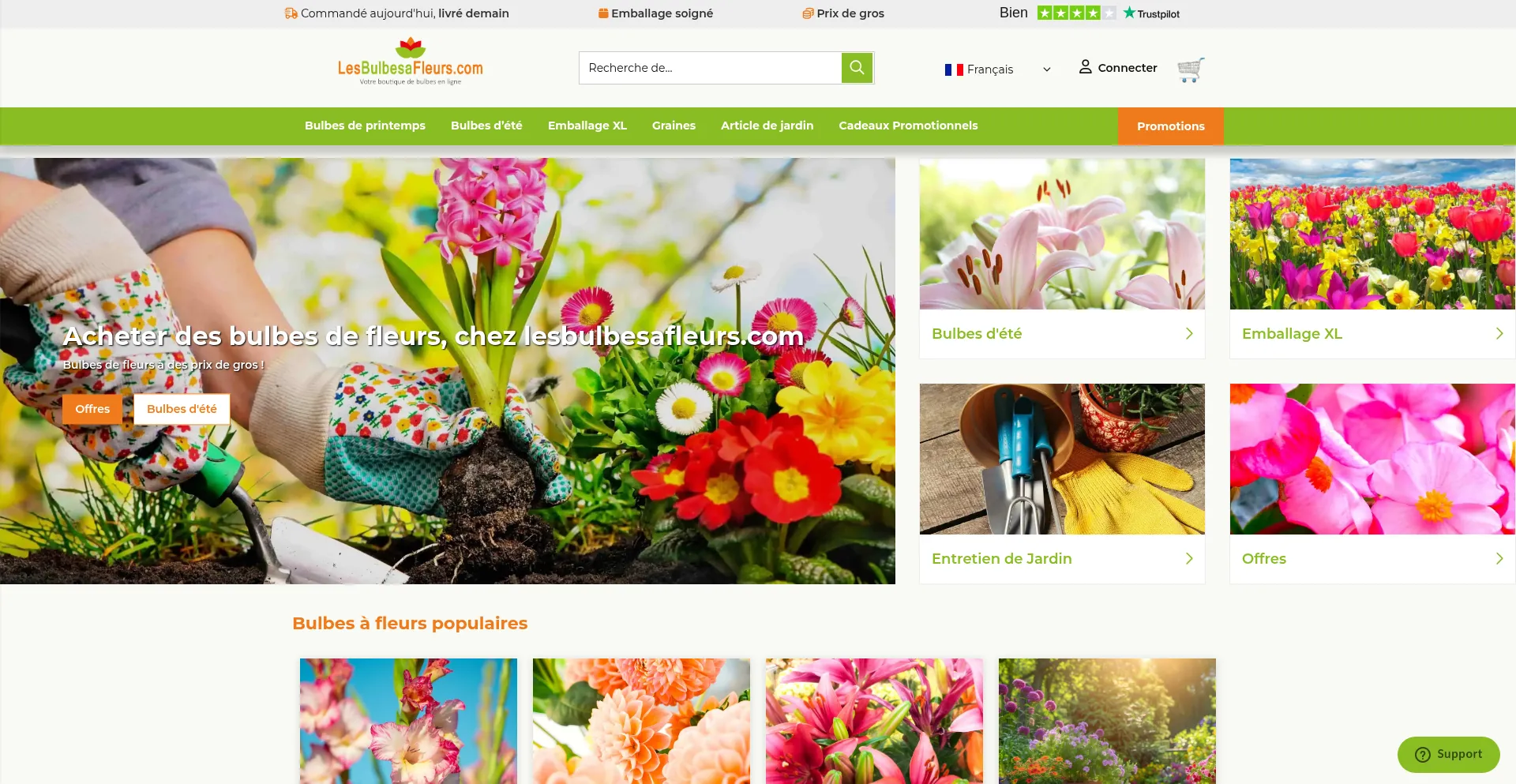 Website screenshot of Lesbulbesafleurs.com