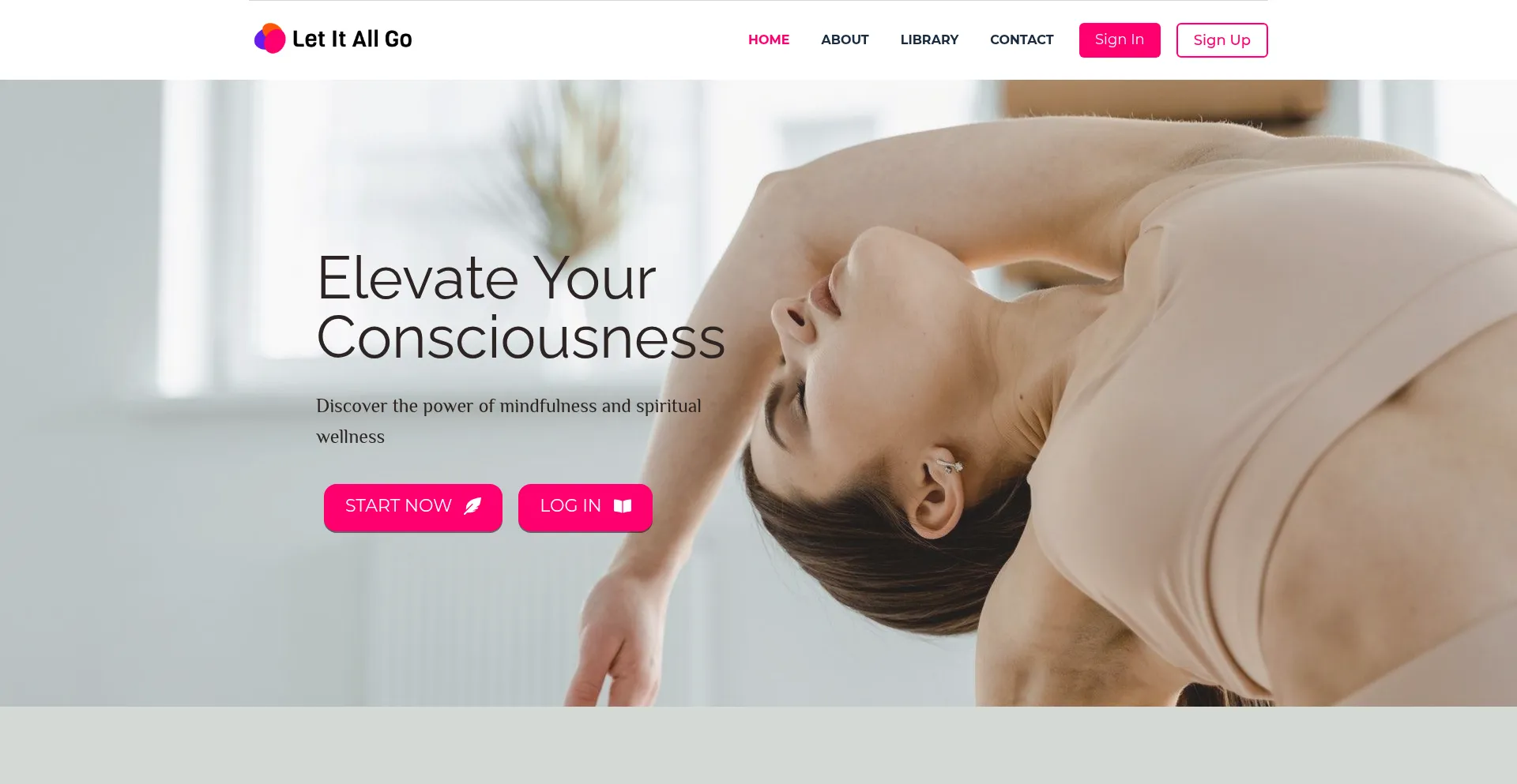 Website screenshot of Letitallgo.co
