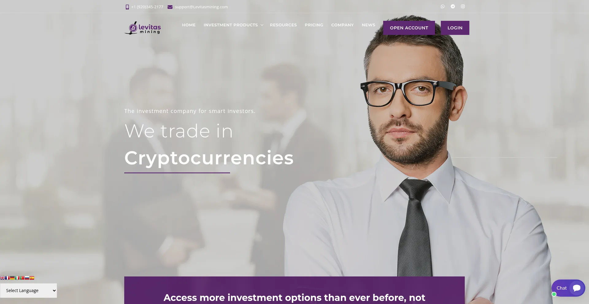 Website screenshot of Levitasmining.com