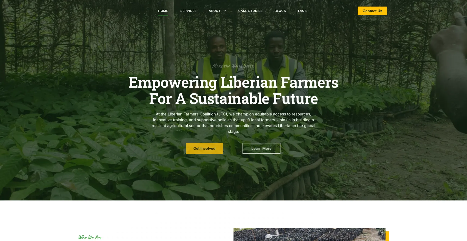 Website screenshot of Liberianfarmerscoalition.org