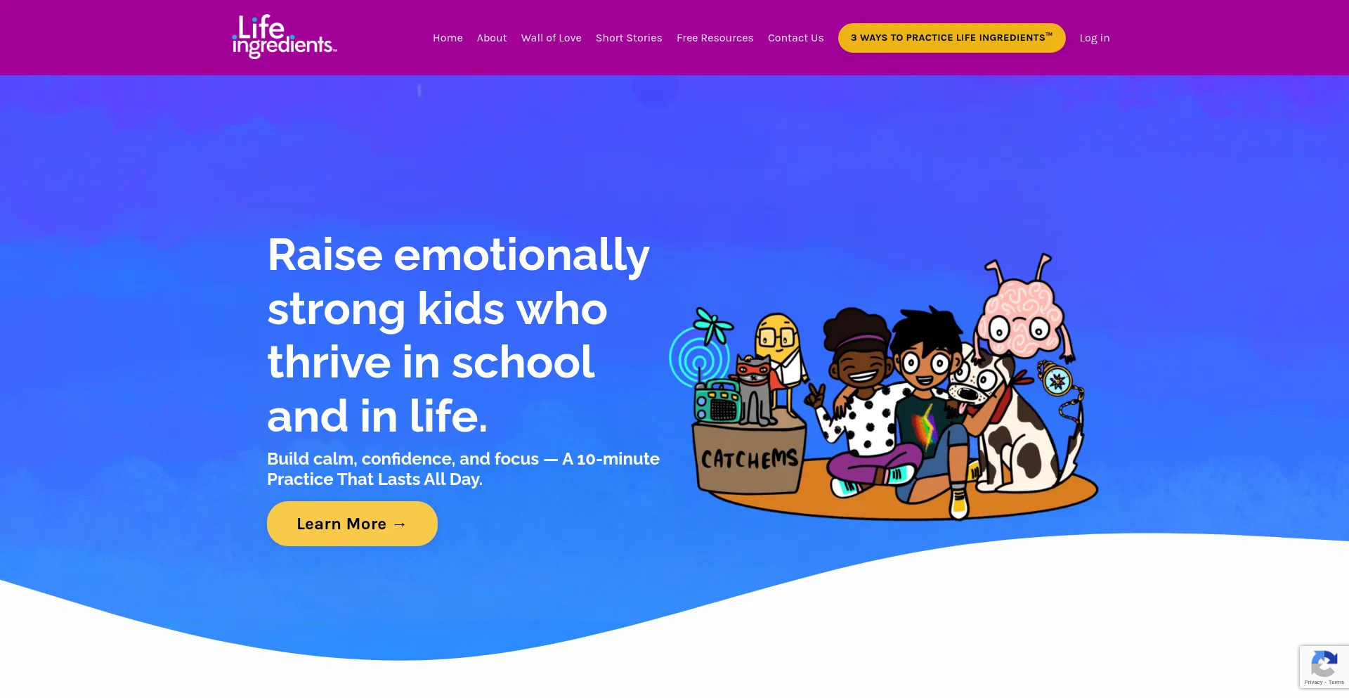 Website screenshot of Lifeingredients.com