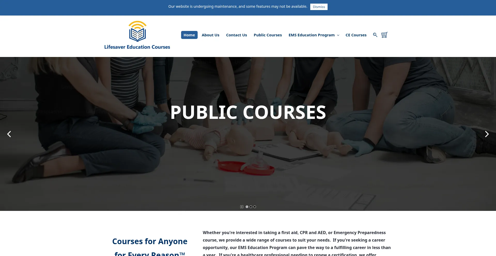 Website screenshot of Lifesavercourses.com
