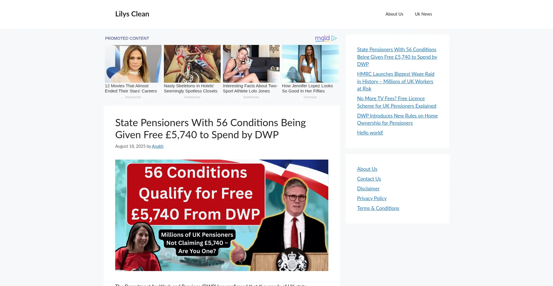 Website screenshot of Lilysclean.com