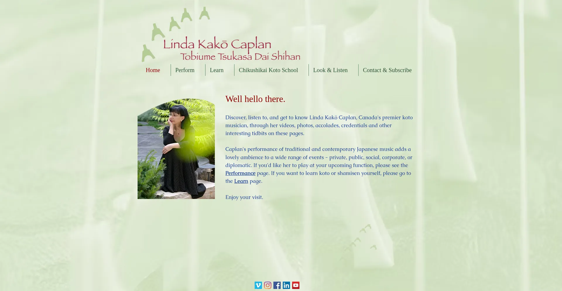 Website screenshot of Lindacaplan.com