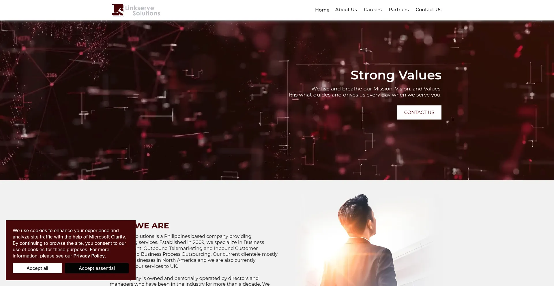 Website screenshot of Linkservesolutions.com