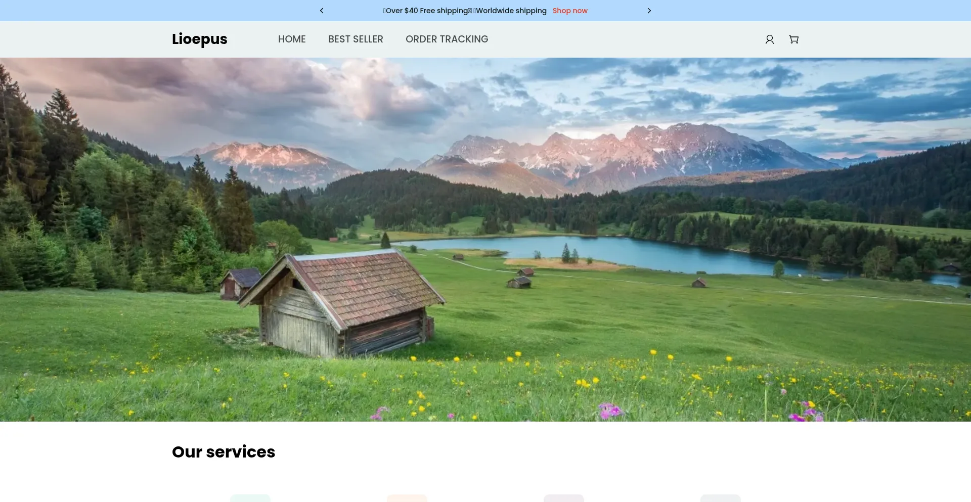 Website screenshot of Lioepus.shop
