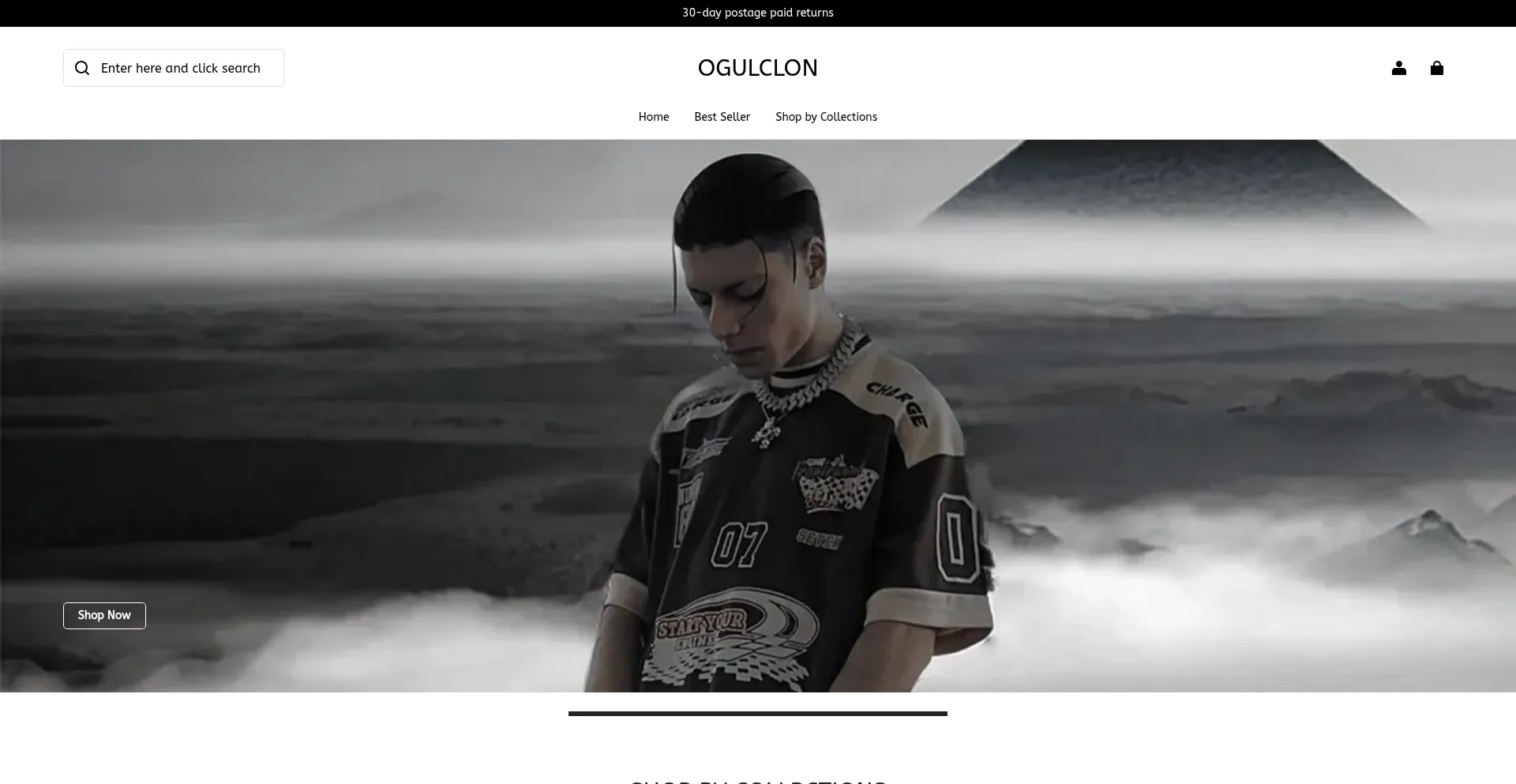 Website screenshot of Lioncald.com