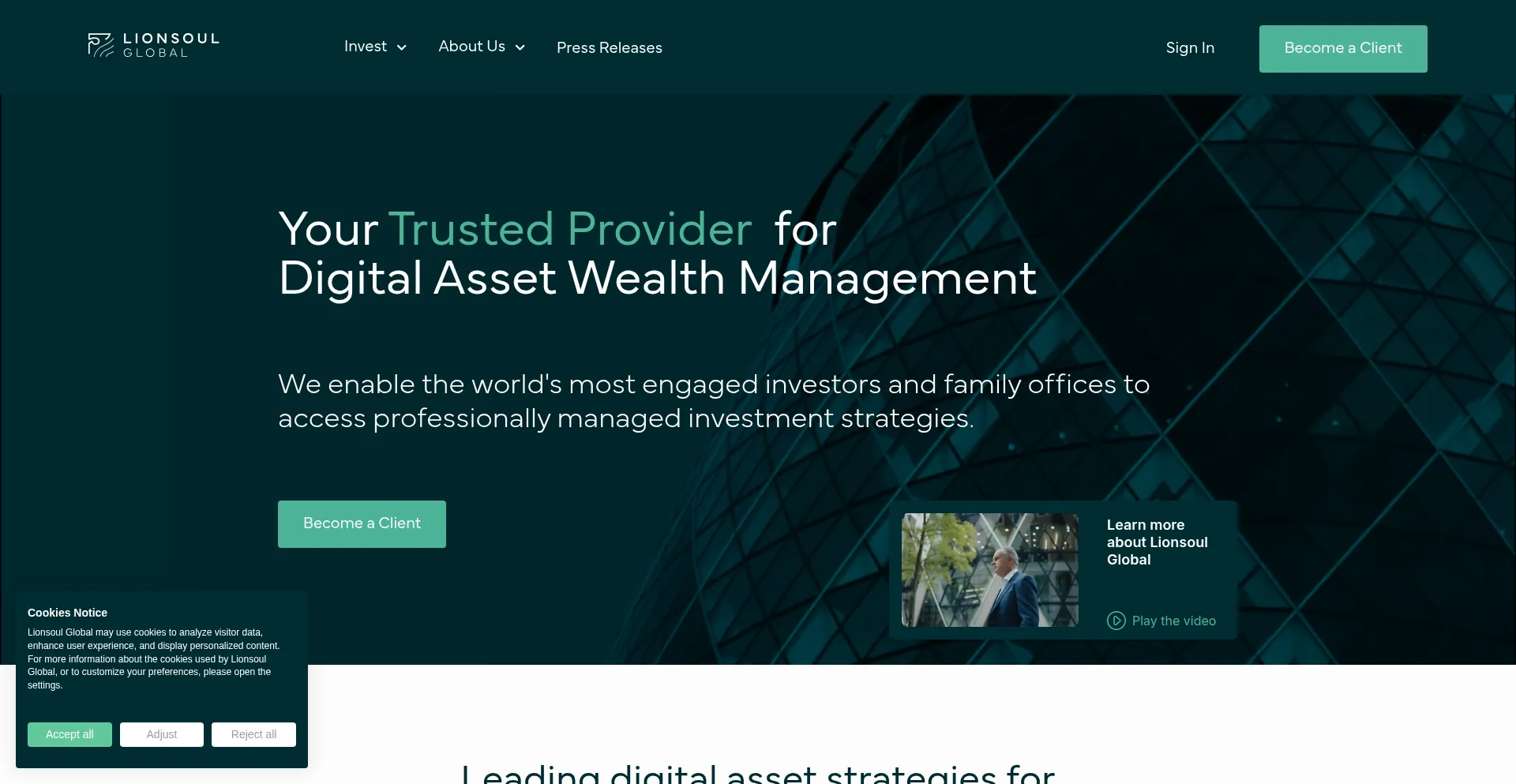 Website screenshot of Lionsoul.com