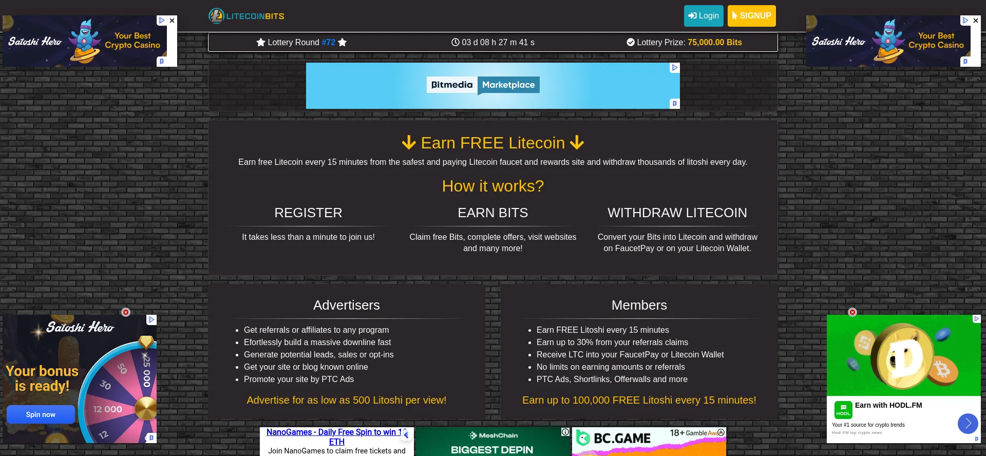 Website screenshot of Litecoinbits.com