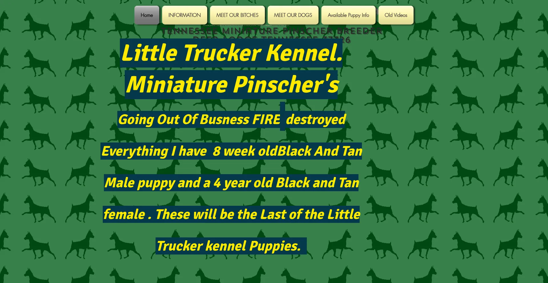 ¿És Seguro y Confiable Littletruckerkennel.com?