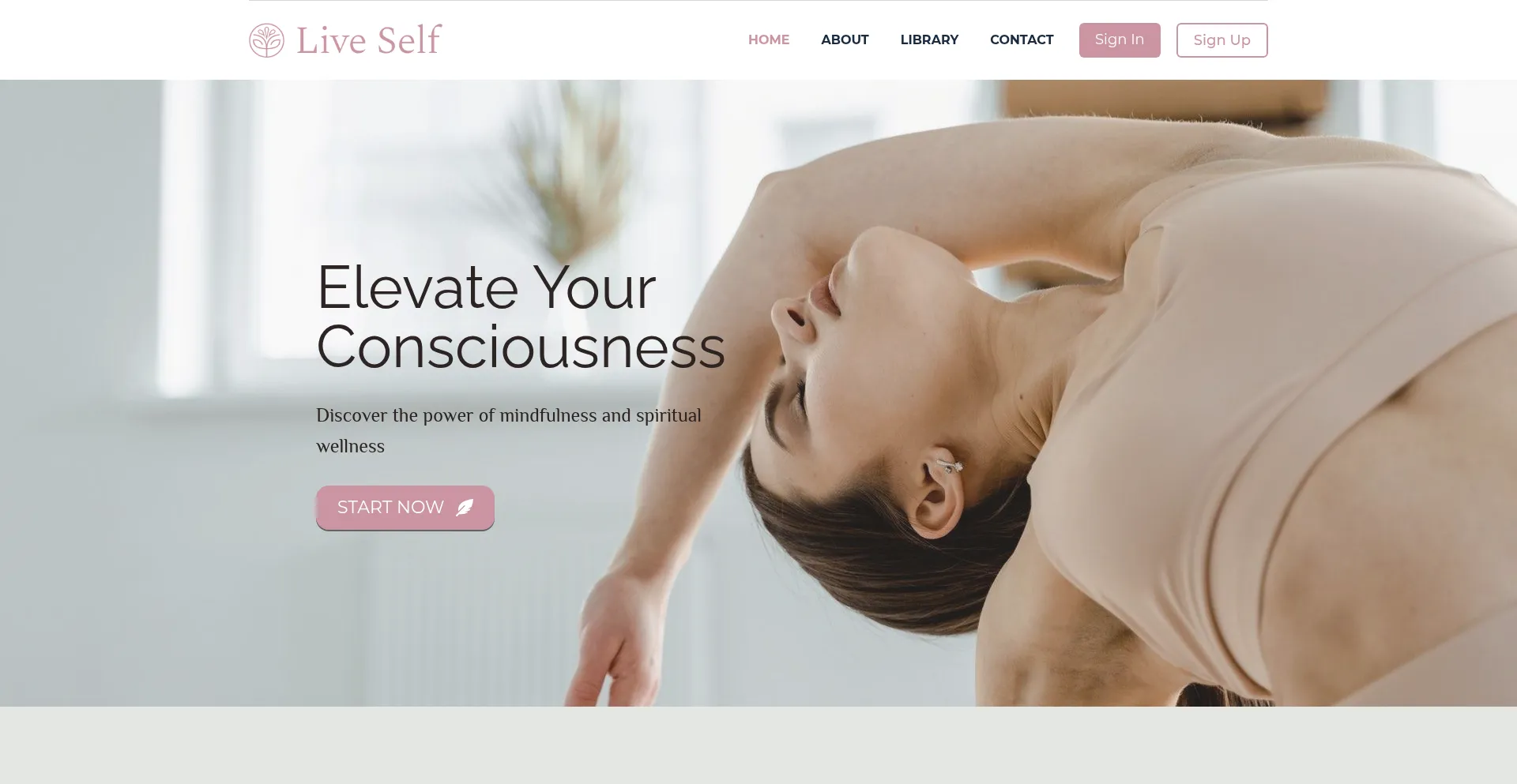¿És Seguro y Confiable Liveself.co?