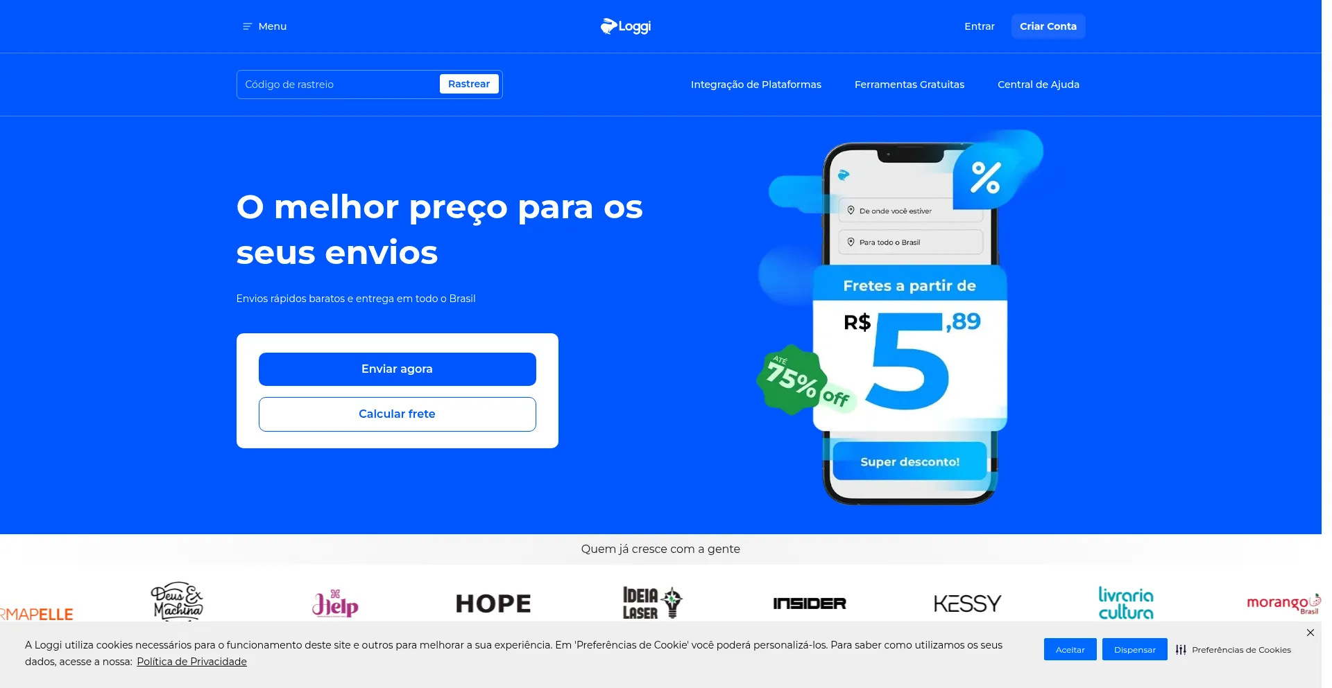 Website screenshot of Loggi.com