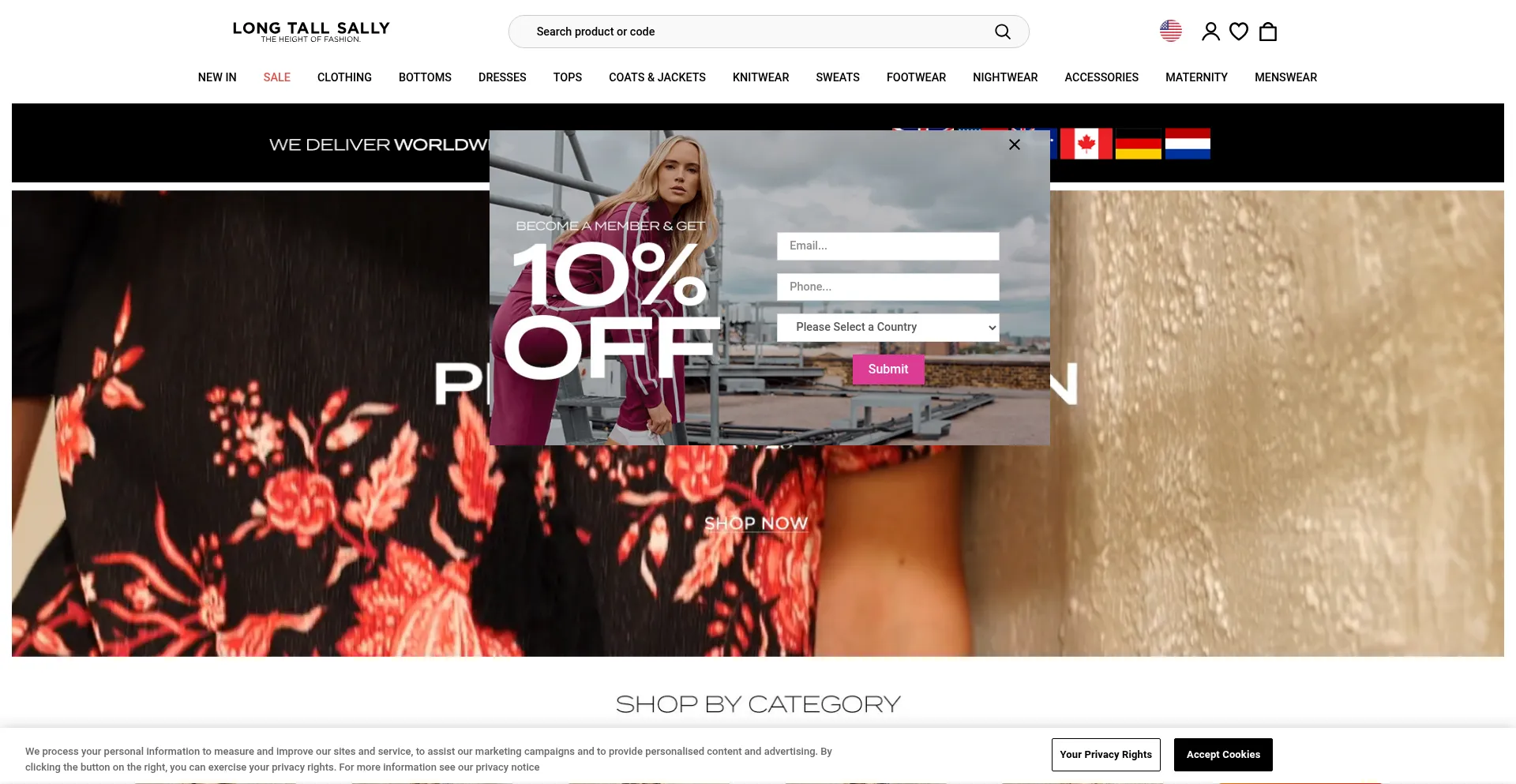 Website screenshot of Longtallsally.com
