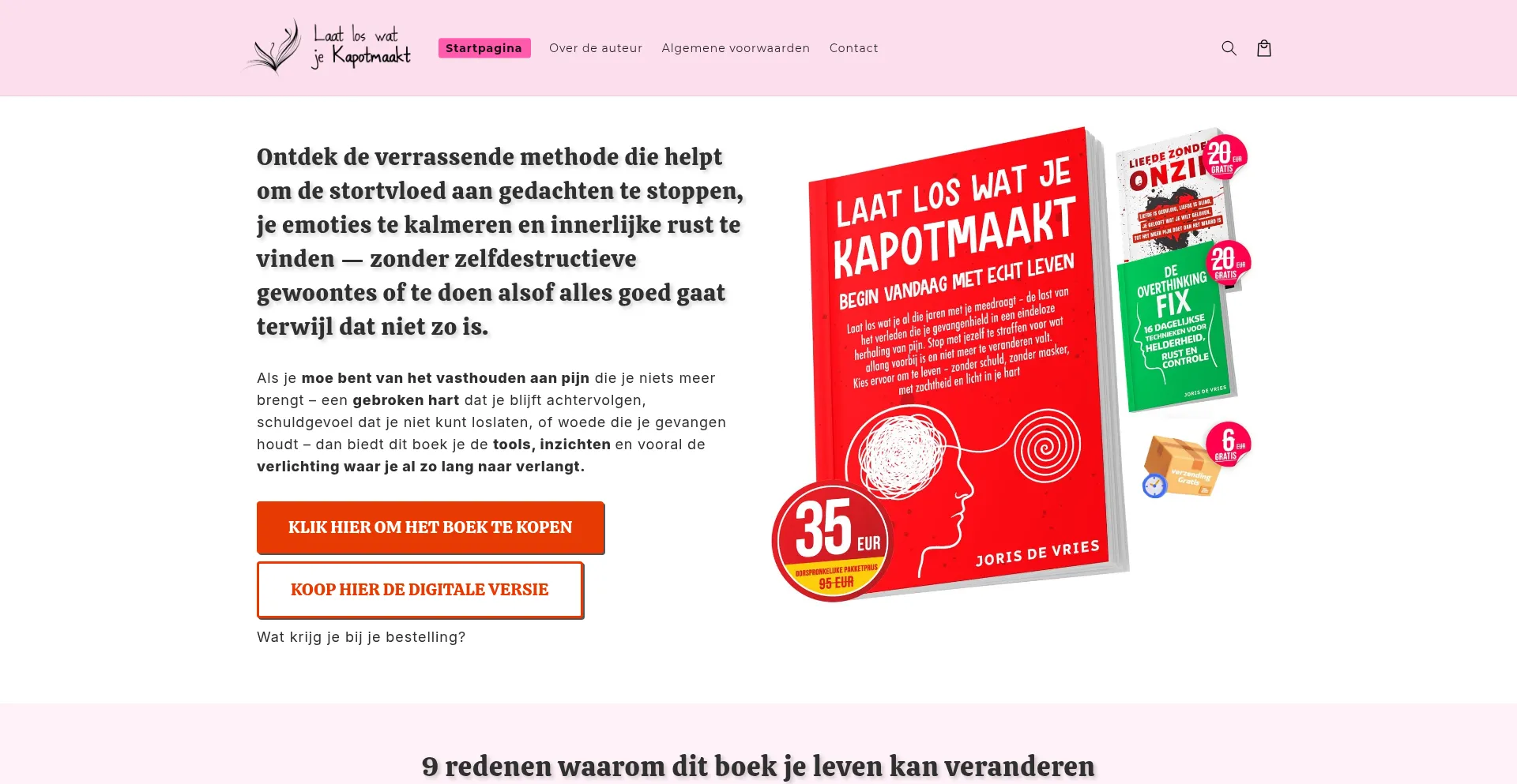 Website screenshot of Loslatenboek.nl