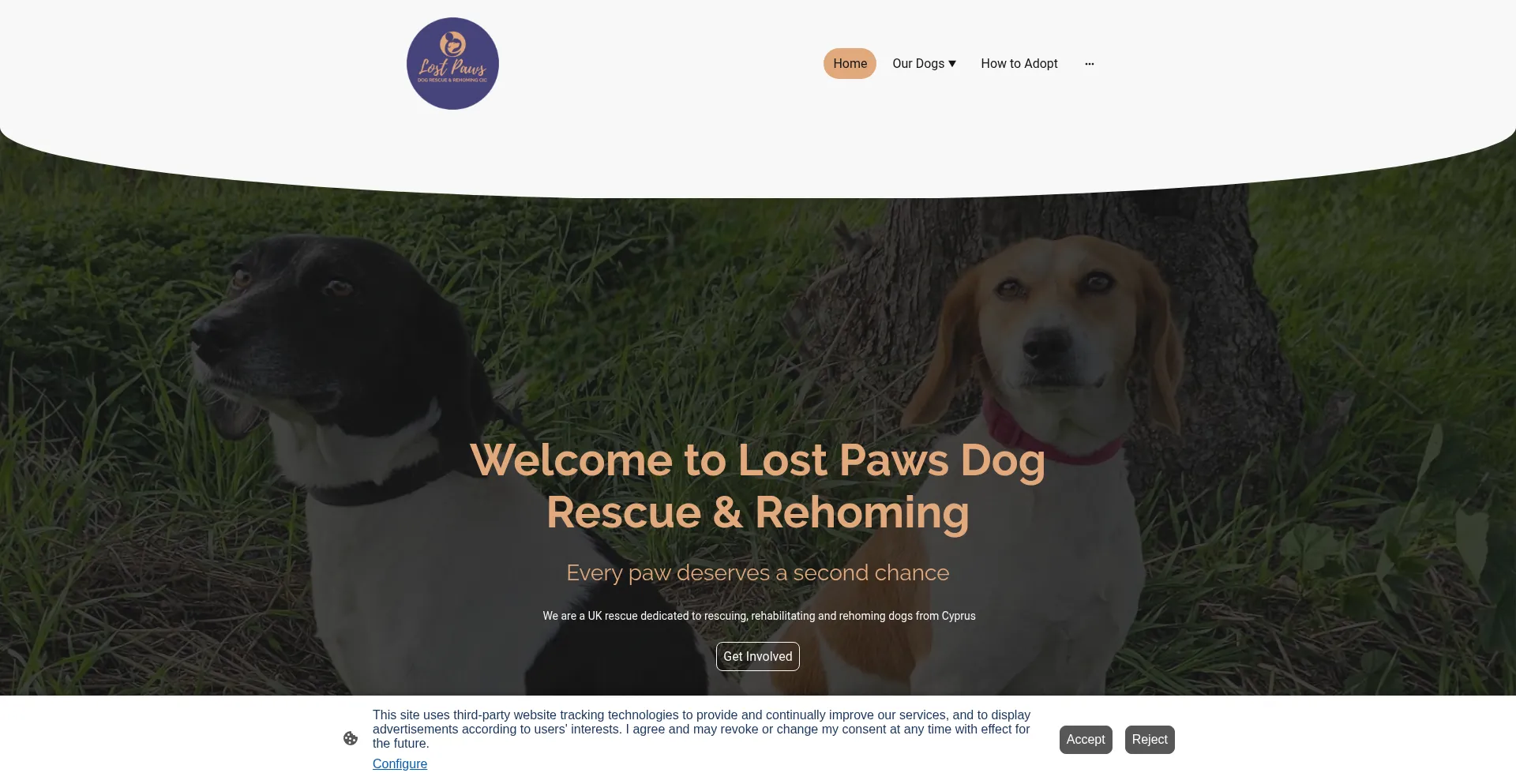Lostpawsdogrescue.org.uk