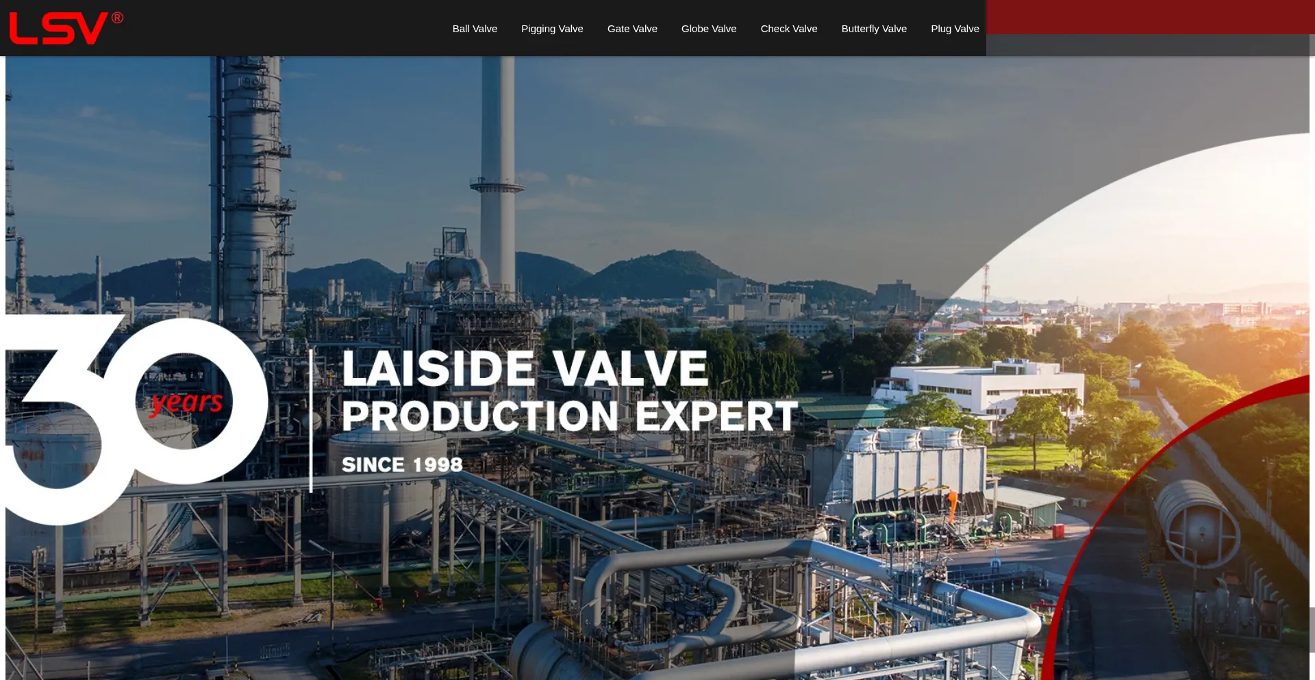 Lsvvalveusa.com