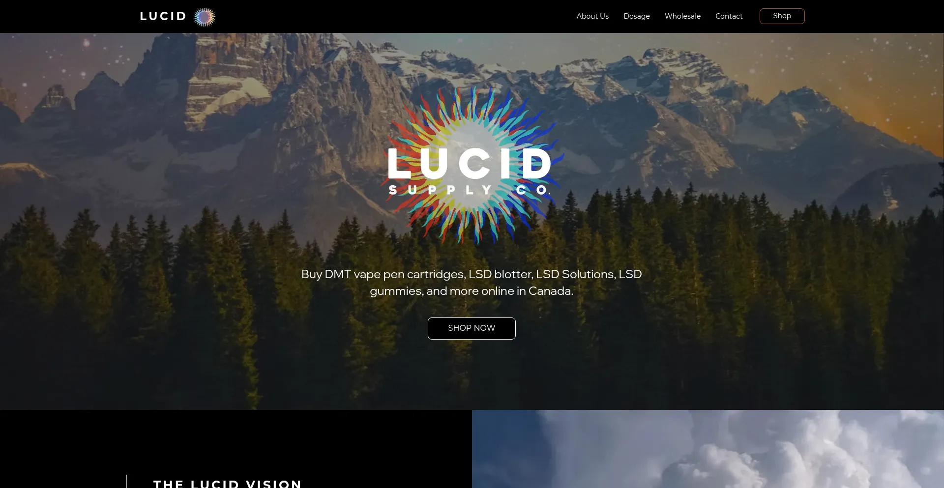Website screenshot of Lucidsupply.co