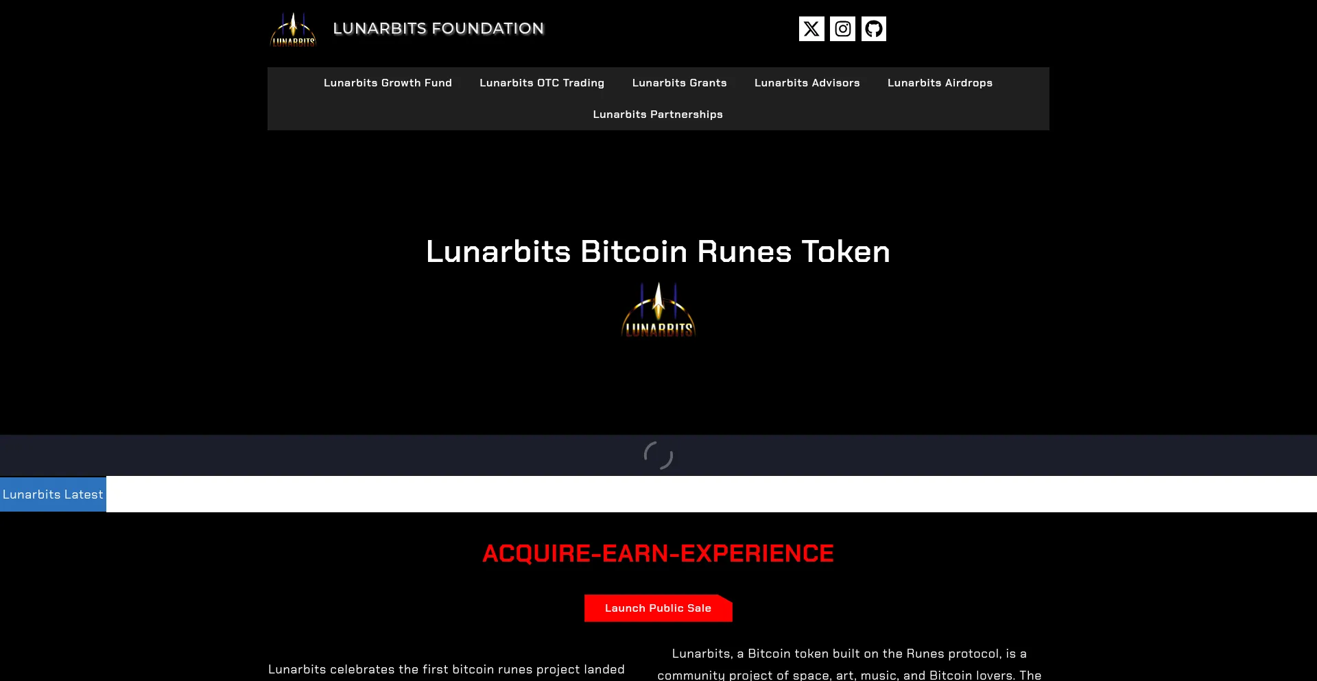 Website screenshot of Lunarbits222.com