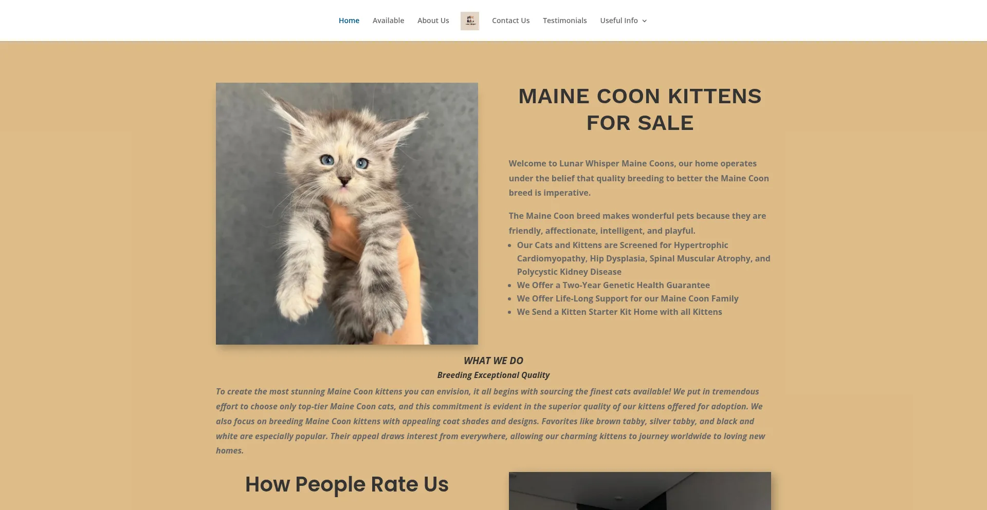 ¿És Seguro y Confiable Lunarwhispermainecoons.store?