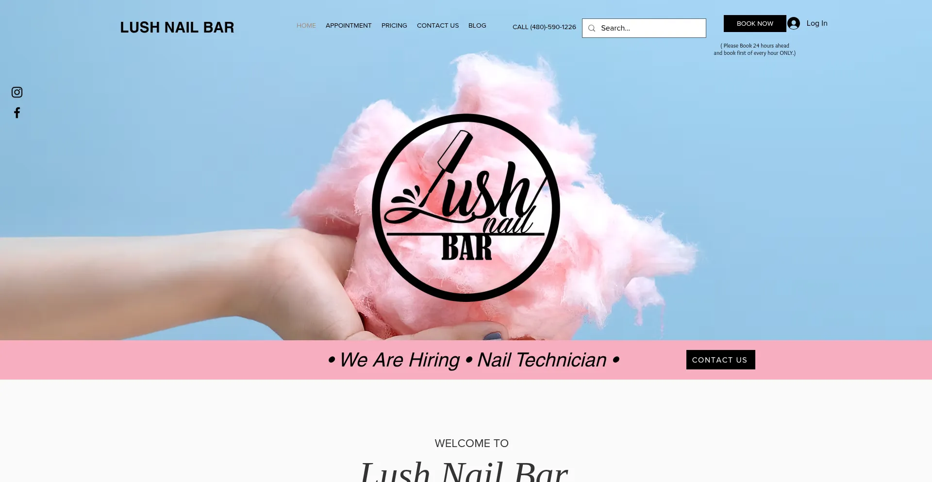 Website screenshot of Lushnailbaraz.com