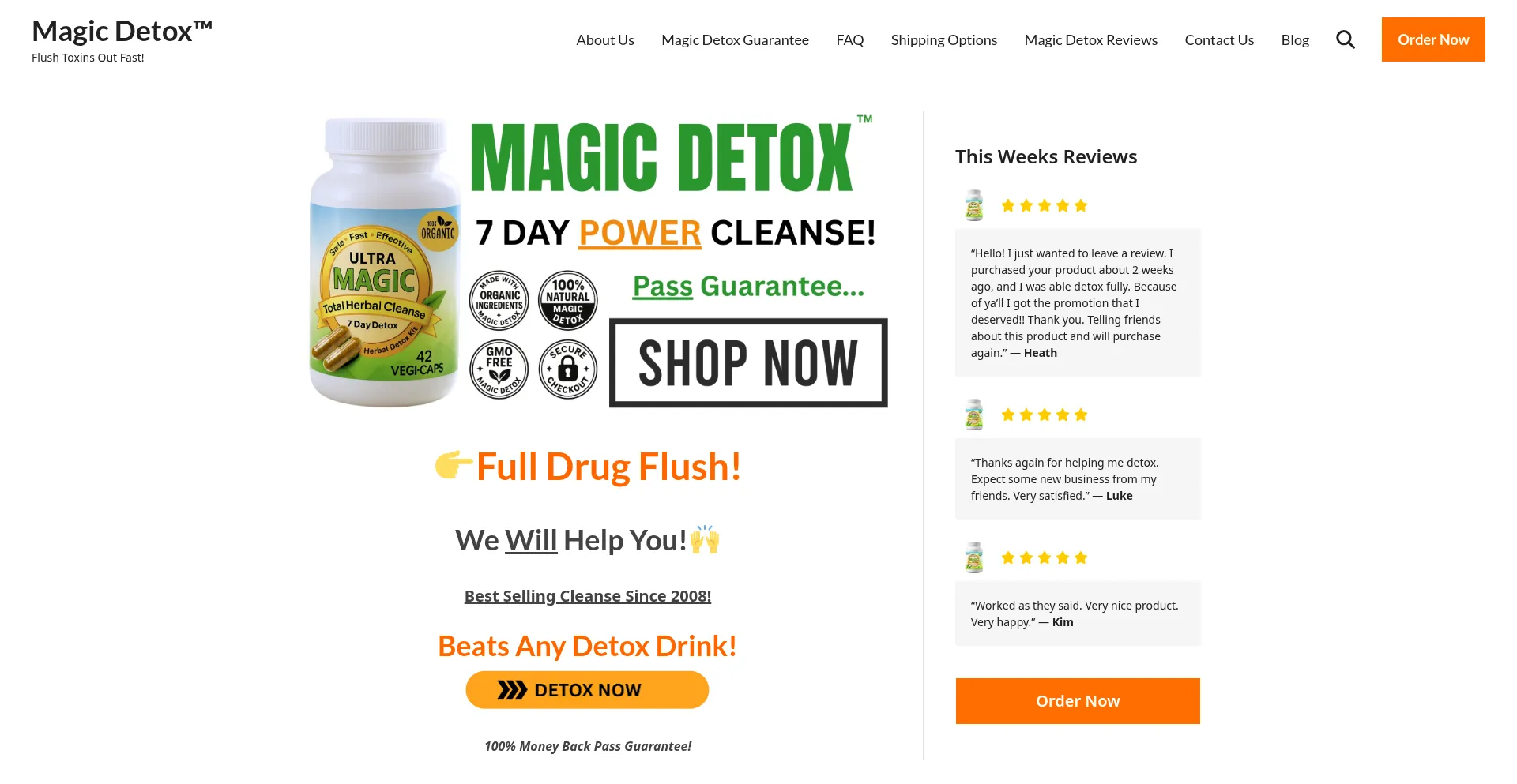 Website screenshot of Magicdetox.com