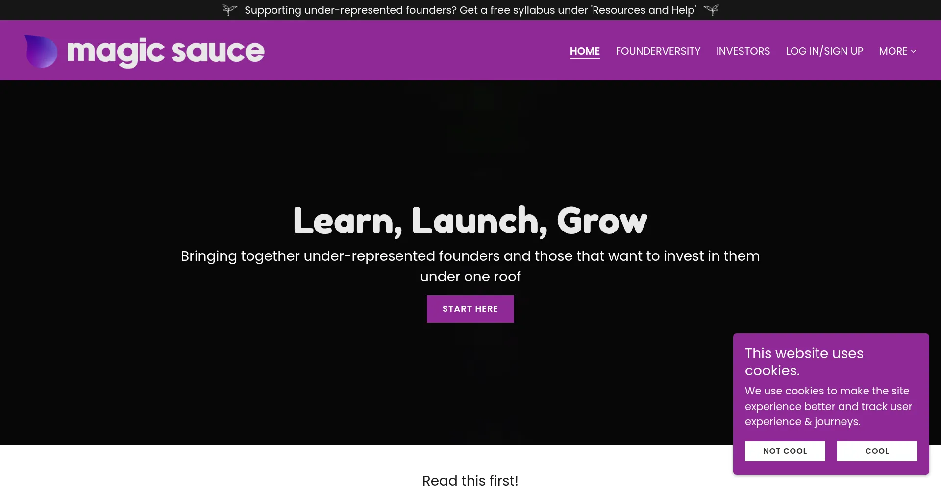 Website screenshot of Magicsauce.online