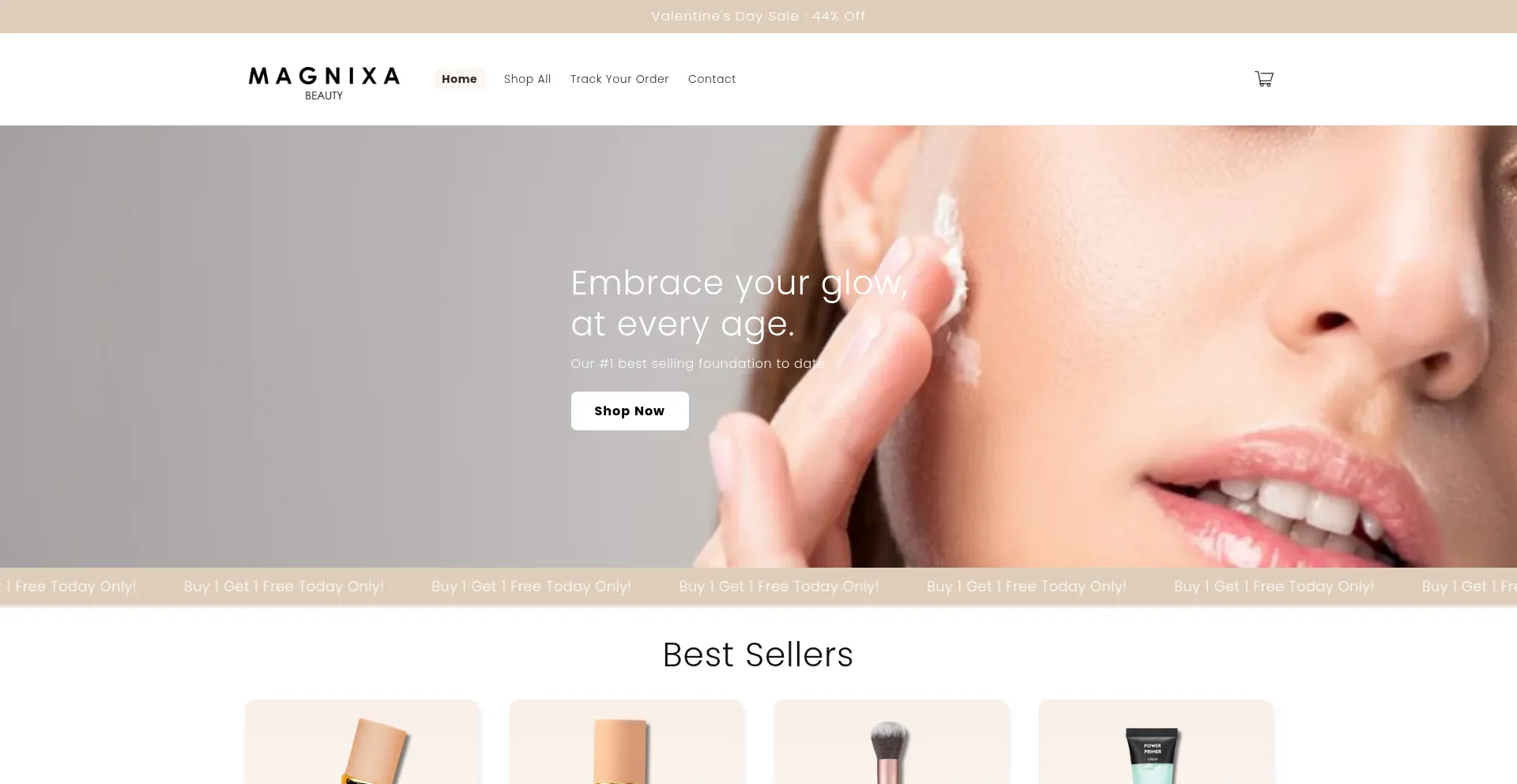 Website screenshot of Magnixa.com