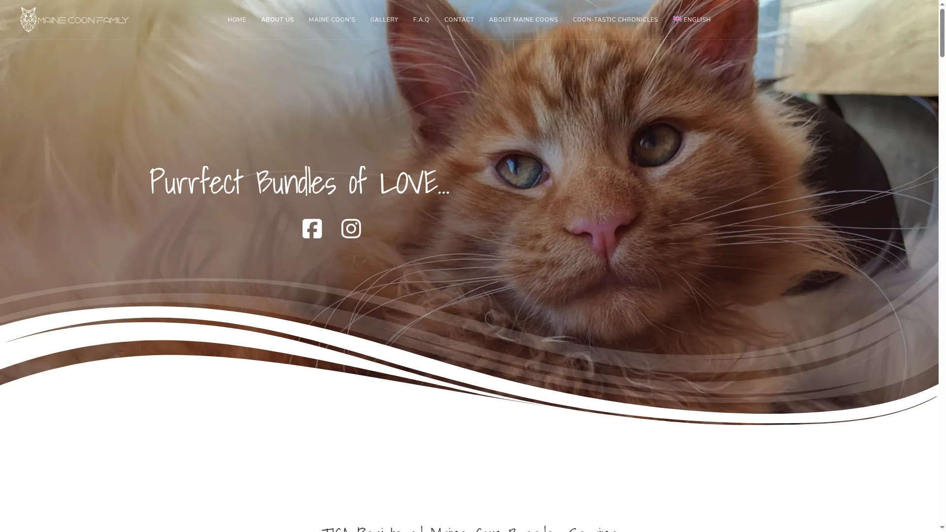 Mainecooncanada.com