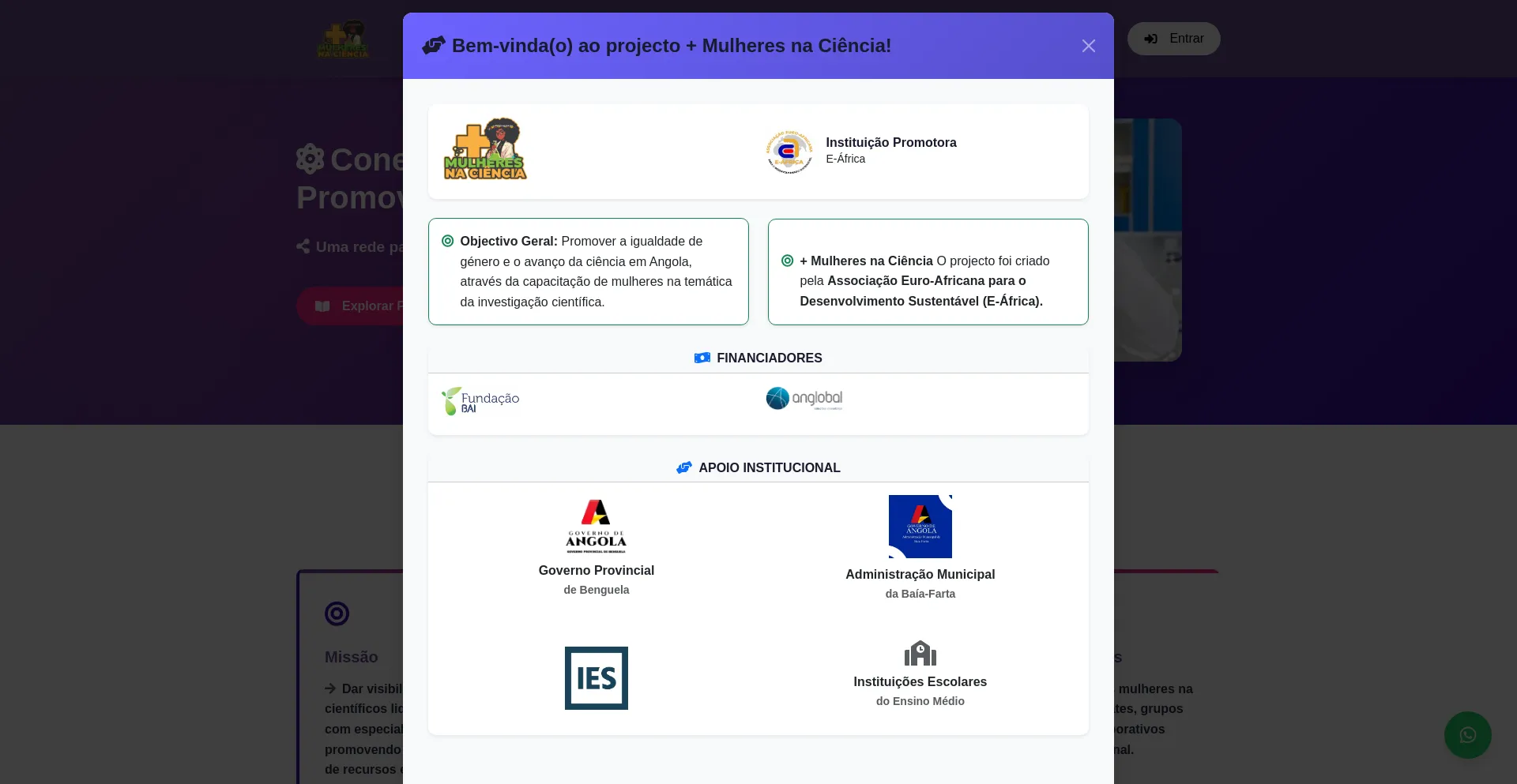 Website screenshot of Maismulheresnaciencia.ao