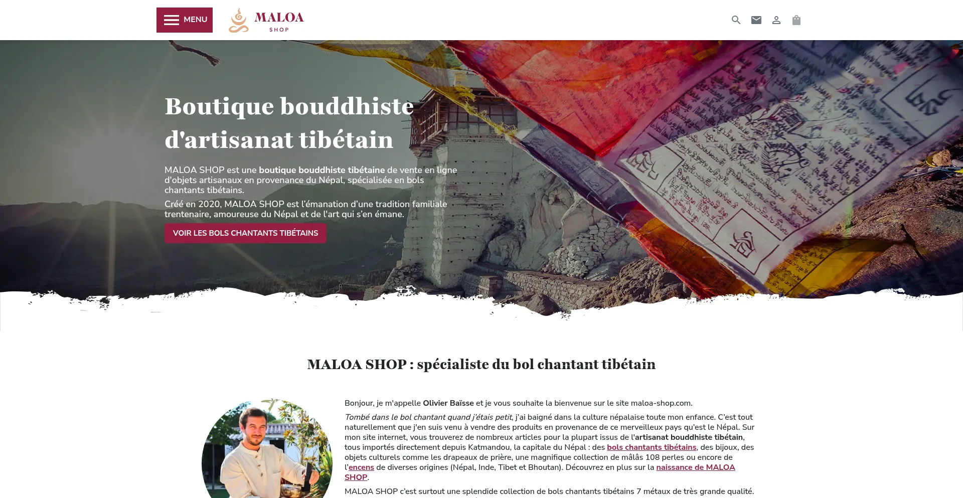 Website screenshot of Maloa-shop.com