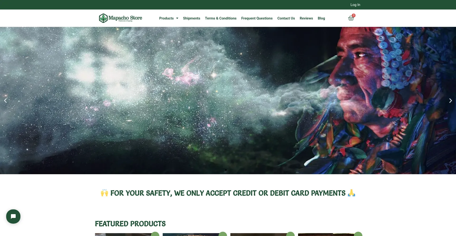 Mapachostore.com Screenshot