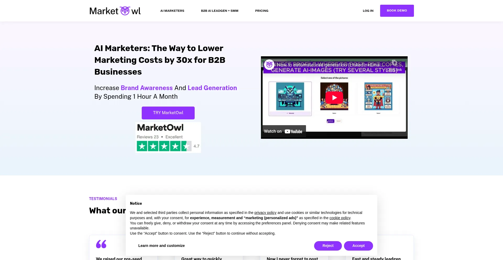 Website screenshot of Marketowl.ai