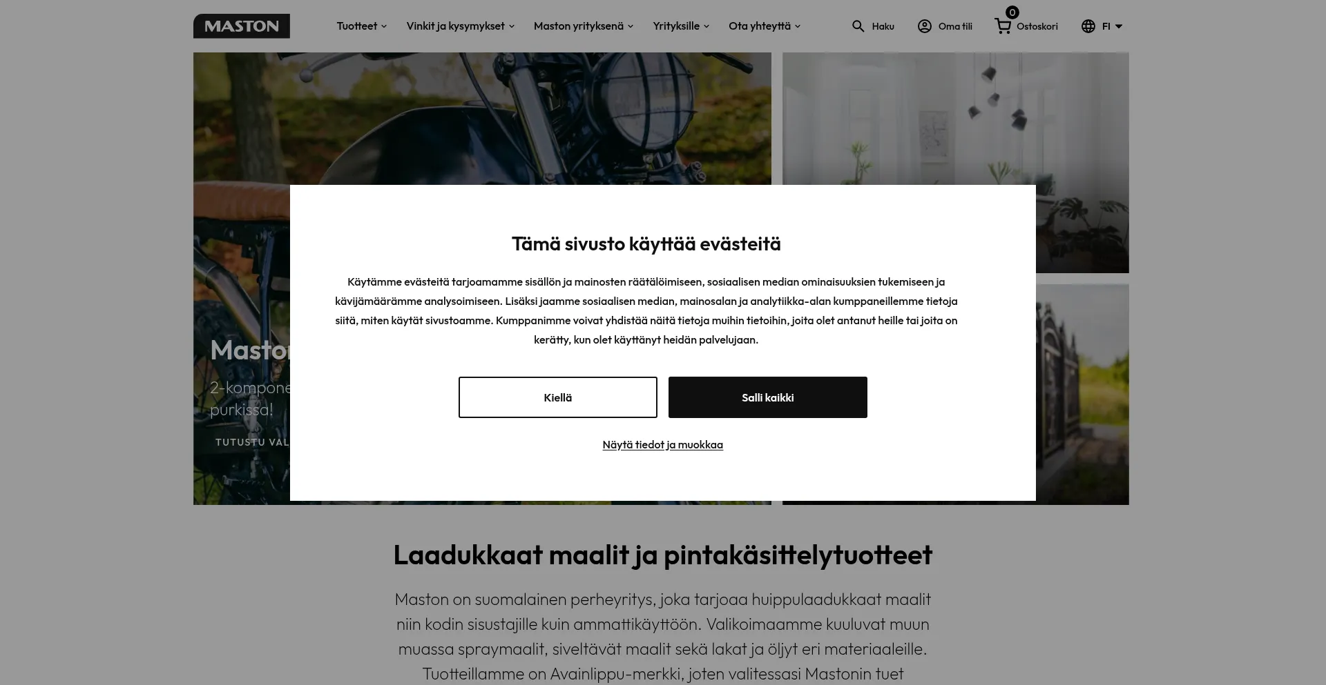 Website screenshot of Maston.fi