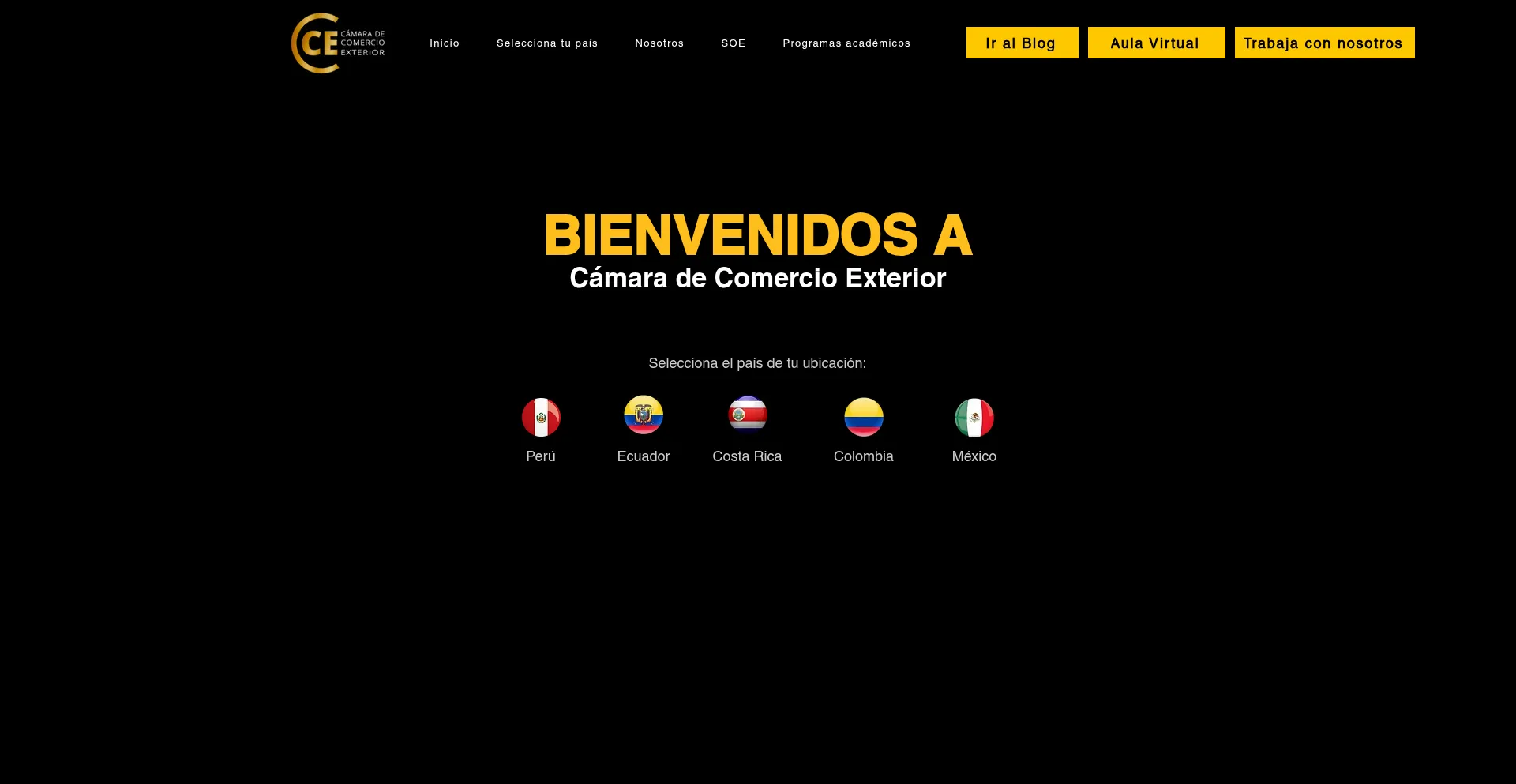 Website screenshot of Matricula.camaracomercioexterior.org