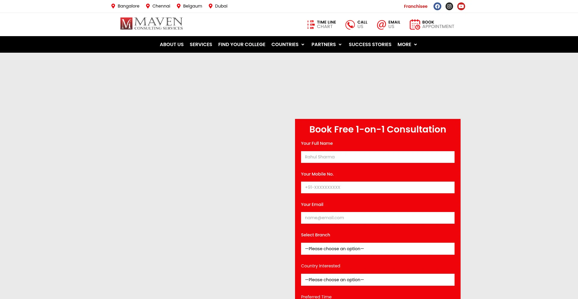 Website screenshot of Mavenconsultingservices.com