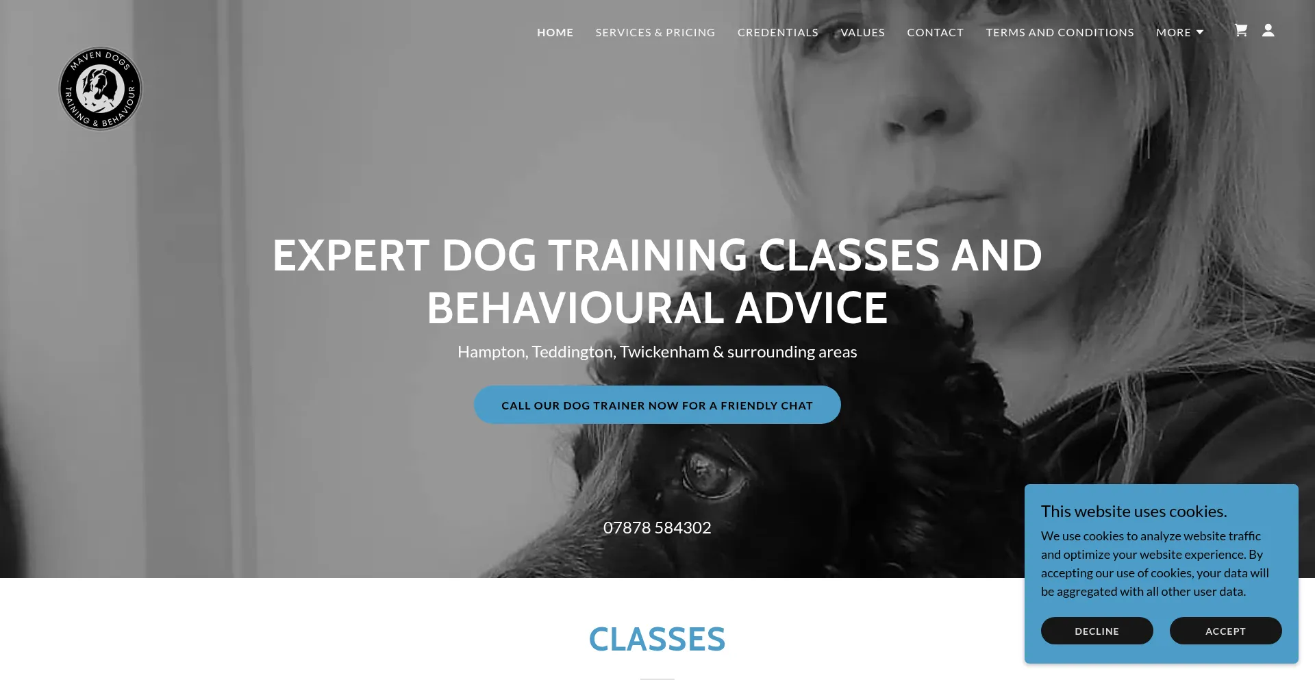 Website screenshot of Mavendogs.co.uk