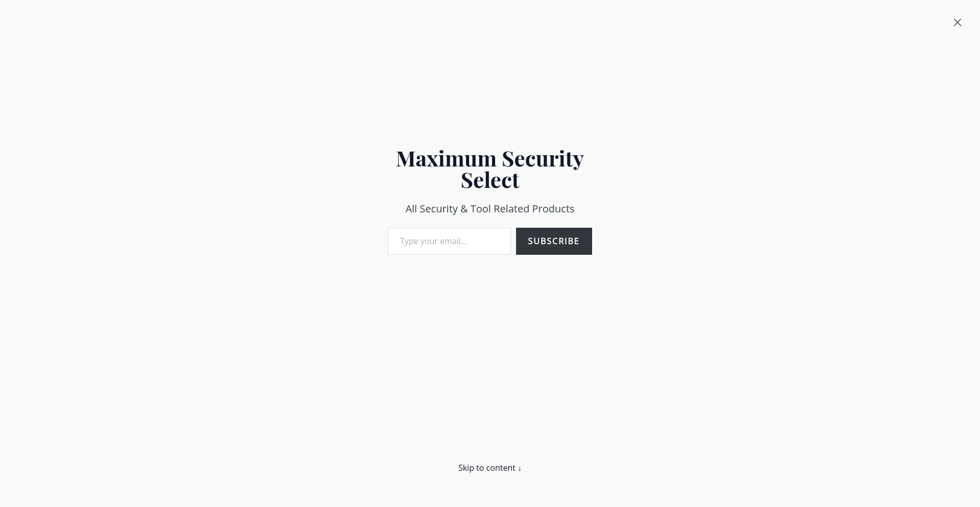 Website screenshot of Maximumsecurityselect.co.za