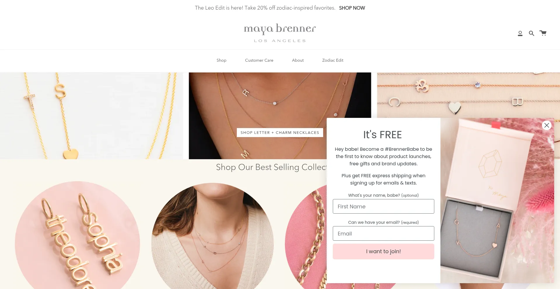 Website screenshot of Mayabrenner.com