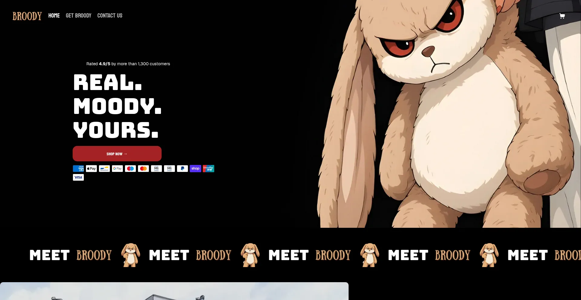 ¿És Seguro y Confiable Meetbroody.com?