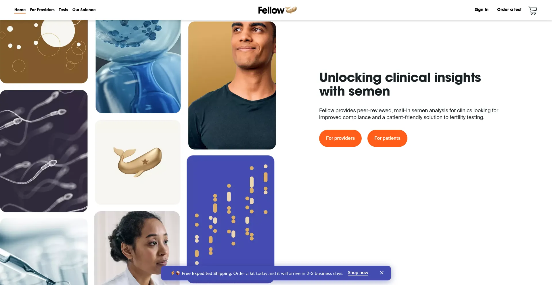¿És Seguro y Confiable Meetfellow.com?