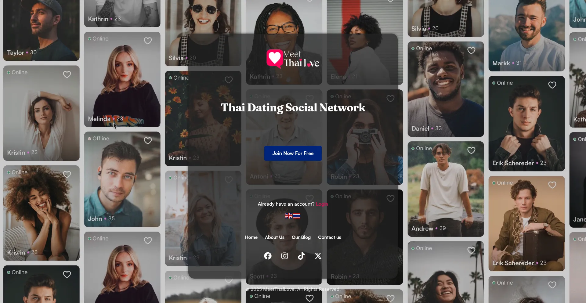 Website screenshot of Meetthailove.com