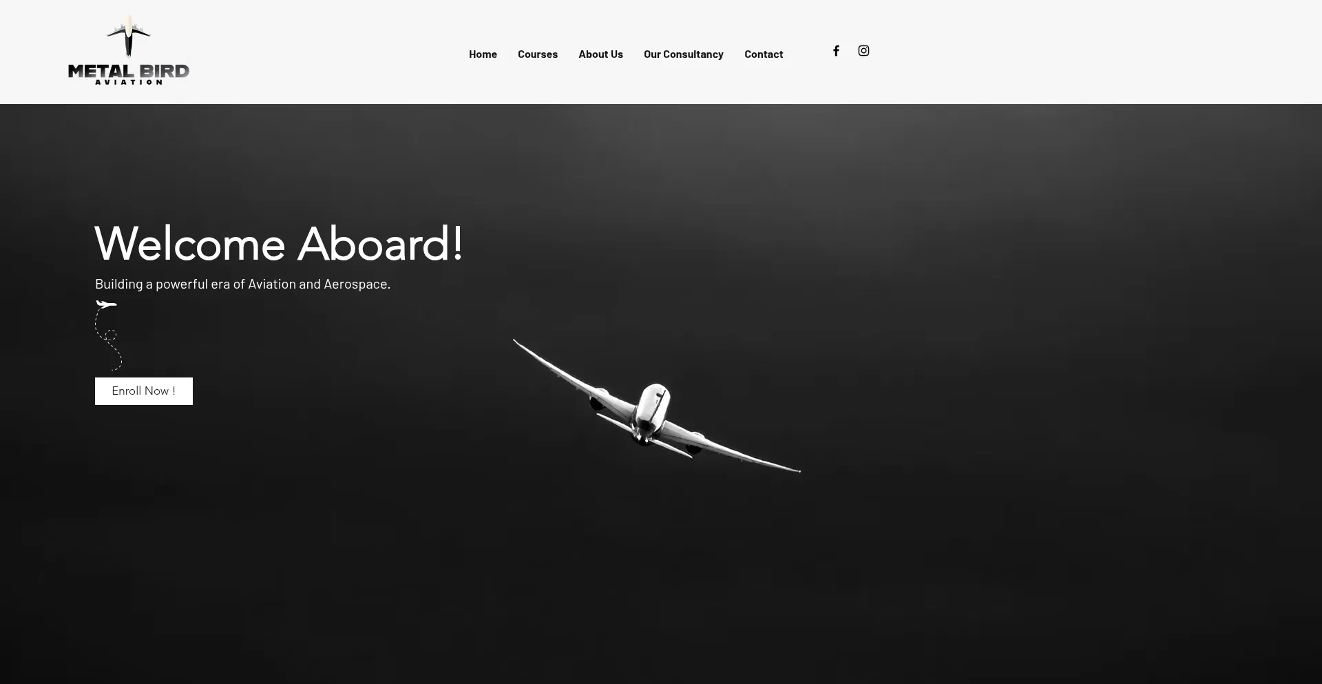 Website screenshot of Metalbirdaviation.com