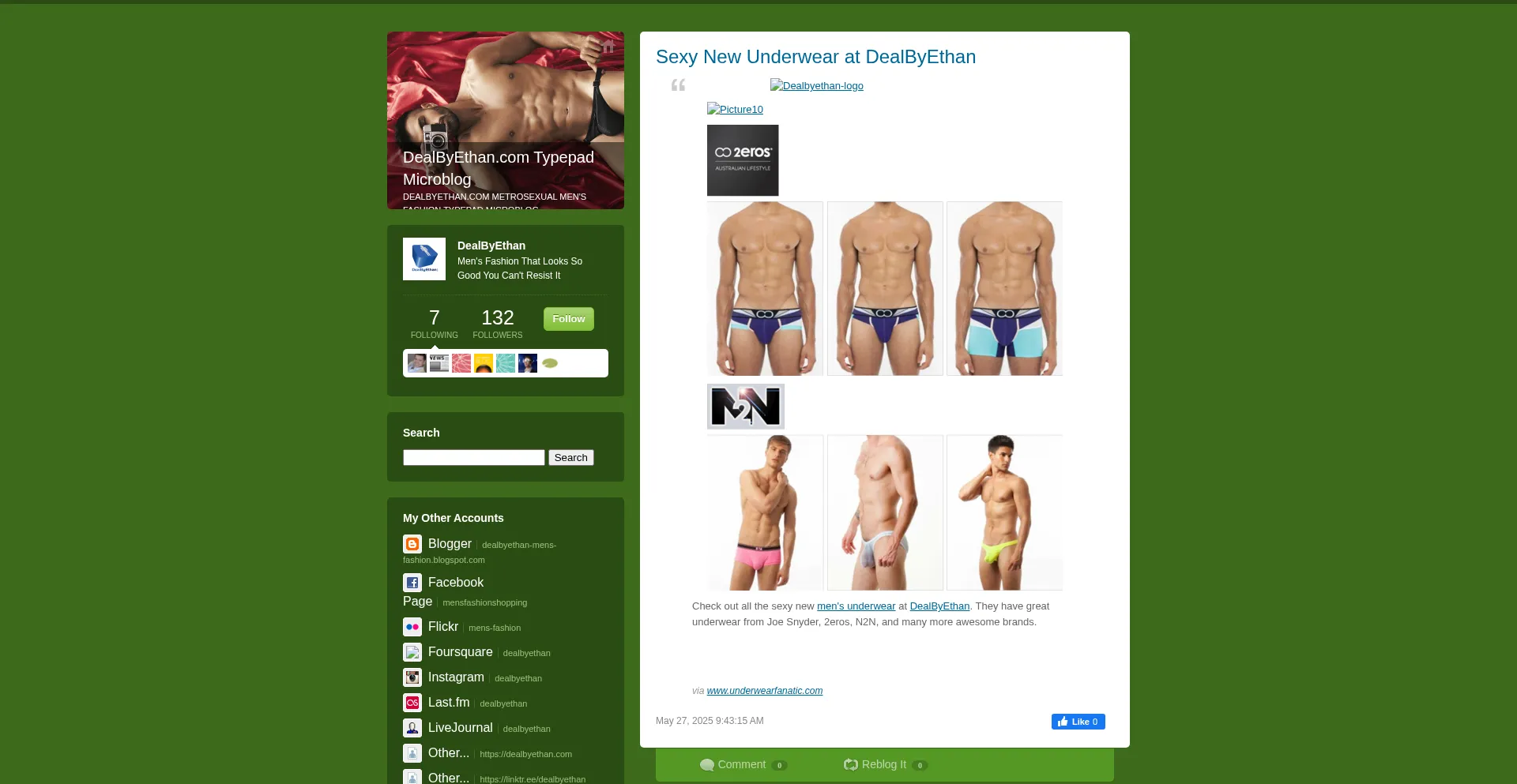 Website screenshot of Metrosexual.typepad.com