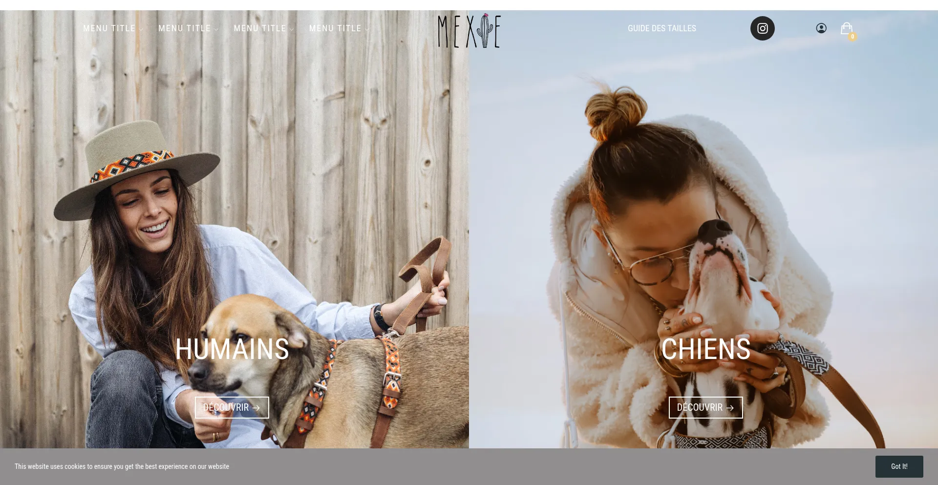 Website screenshot of Mexie.fr