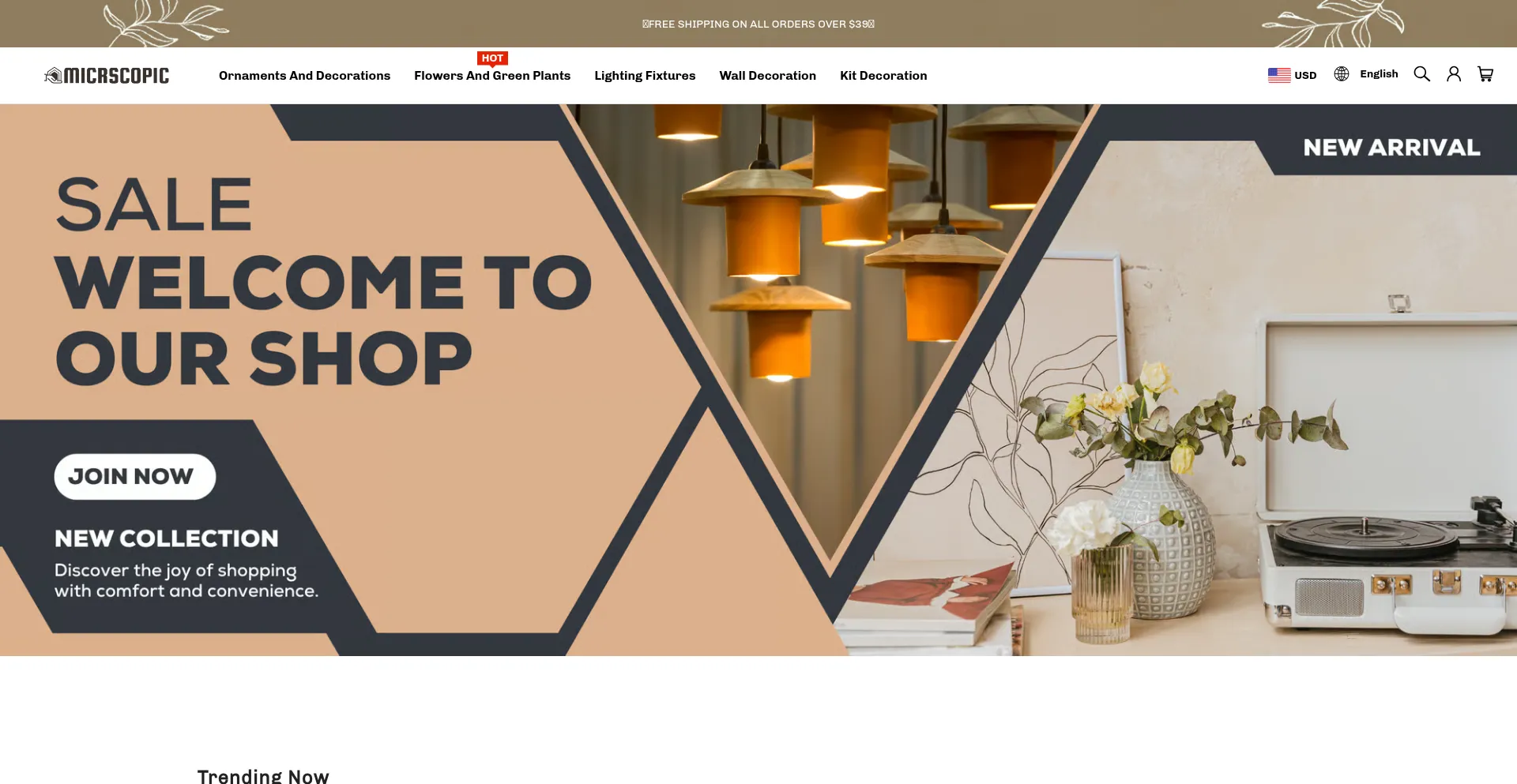 Website screenshot of Micrscopic.com