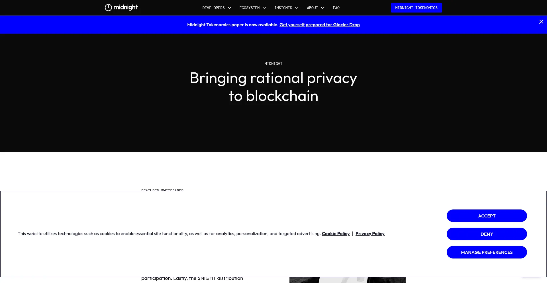 Website screenshot of Midnight.network