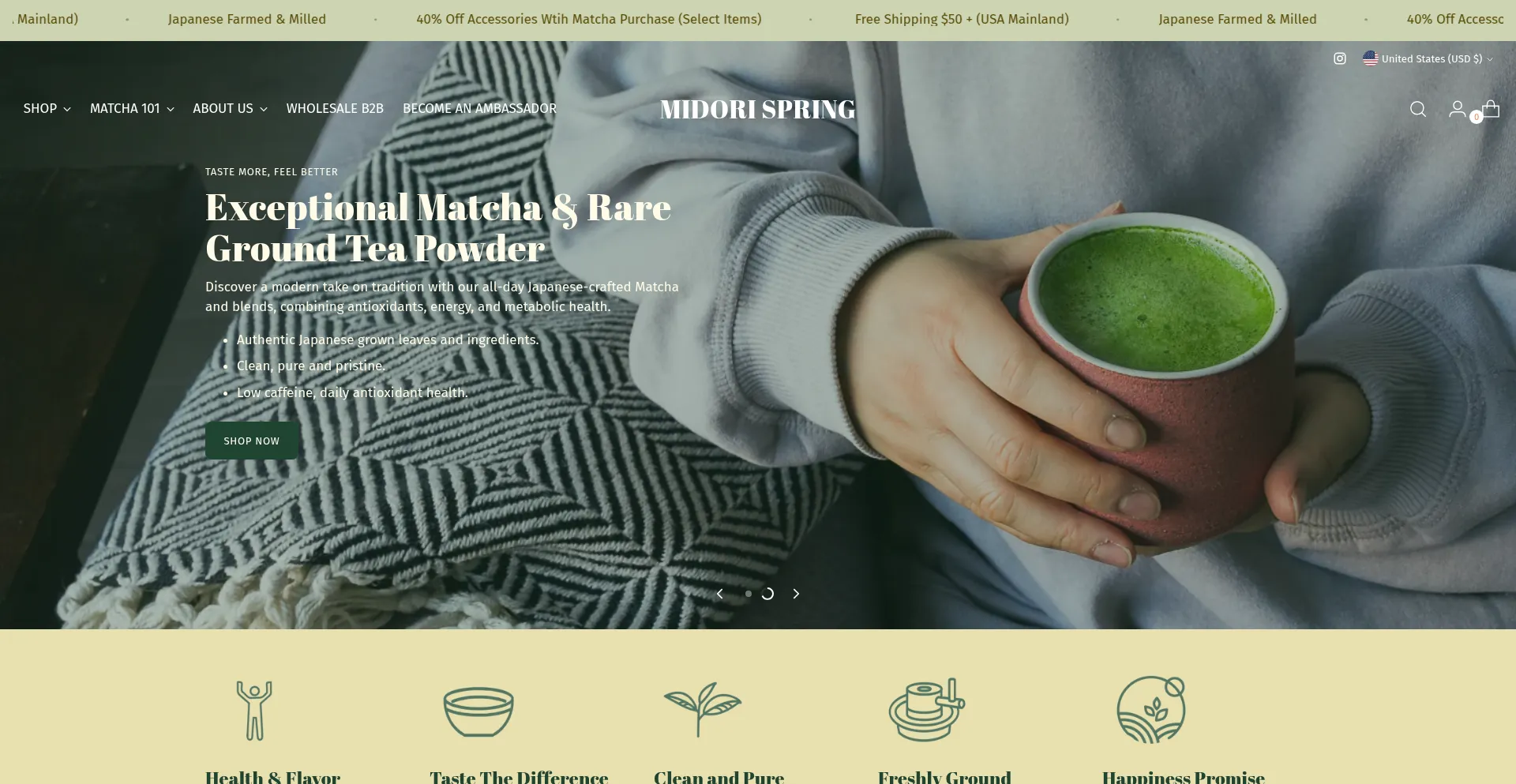 Website screenshot of Midorispring.com