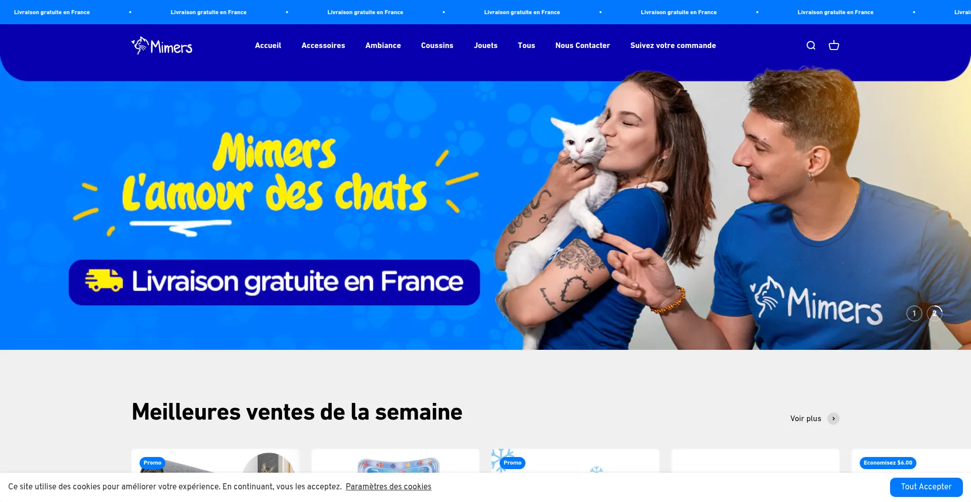 Website screenshot of Mimers.fr